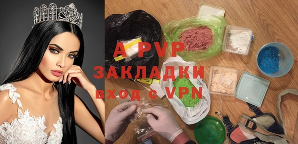 дмт Магас