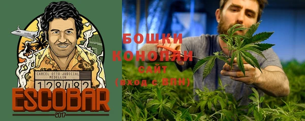 дмт Магас