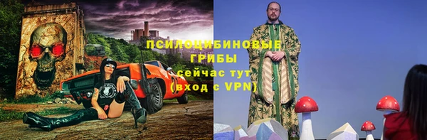 дмт Магас