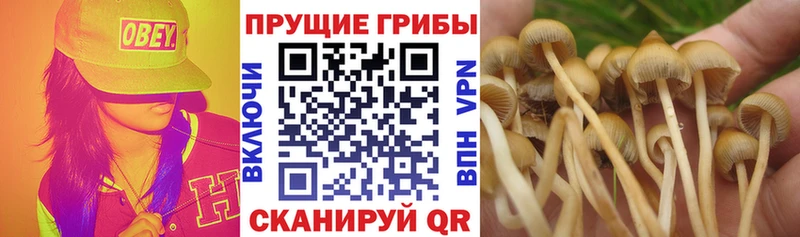 Галлюциногенные грибы мухоморы  hydra как зайти  Невьянск 